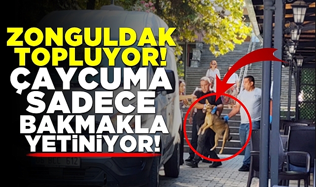 Zonguldak topluyor, Çaycuma sadece bakmakla yetiniyor!