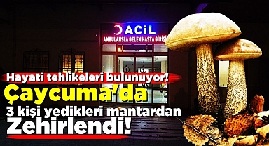 Çaycuma'da 3 kişi yedikleri mantardan zehirlendi!