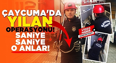 Çaycuma'da yılan operasyonu! Saniye saniye o anlar!