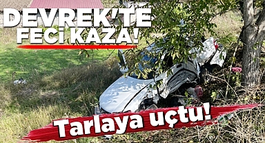 Devrek'te feci kaza! Tarlaya uçtu!