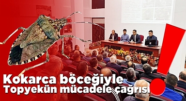 Kokarca böceğiyle topyekün mücadele çağrısı!
