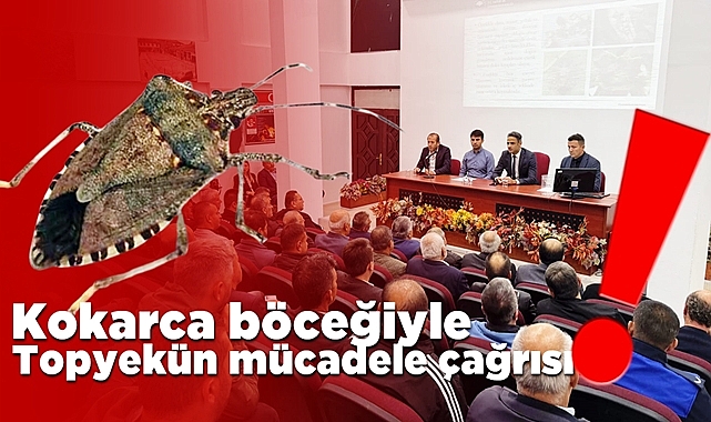 Kokarca böceğiyle topyekün mücadele çağrısı!