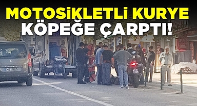 Motosikletli kurye köpeğe çarptı!