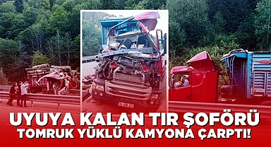 Uyuya kalan tır şoförü tomruk yüklü kamyona çarptı!