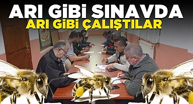 Arı gibi sınavda, arı gibi çalıştılar!