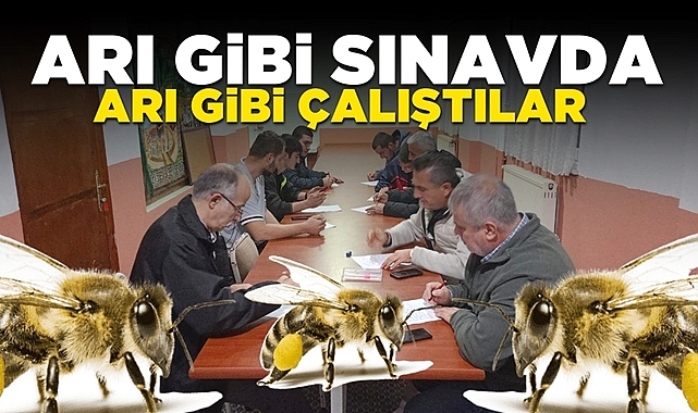 Arı gibi sınavda, arı gibi çalıştılar!