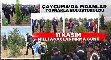 Çaycuma'da fidanlar toprakla buluşturuldu! 