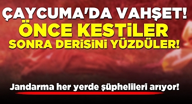 Çaycuma'da vahşet! Önce kestiler, sonra derisini yüzdüler!