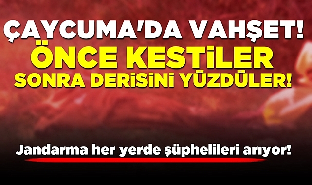 Çaycuma'da vahşet! Önce kestiler, sonra derisini yüzdüler!
