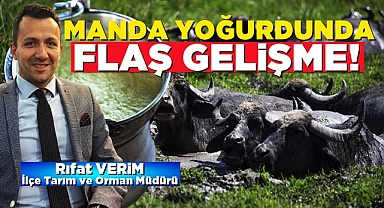 İlçe Müdürü açıkladı! Manda yoğurdunda flaş gelişme!