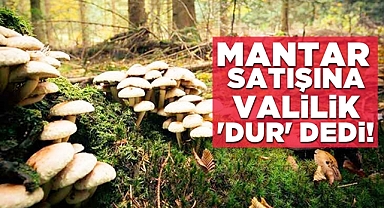 Mantar satışına valilik 'Dur' dedi!
