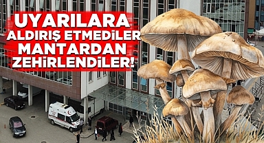 Uyarılara aldırış etmediler, mantardan zehirlendiler! Adres Çaycuma!