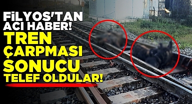 Filyos'tan acı haber! Tren çarpması sonucu telef oldular!