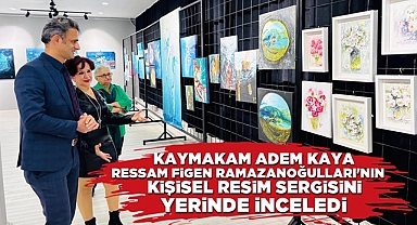 Kaymakam Adem Kaya, ressam Figen Ramazanoğulları'nın sergisini inceledi