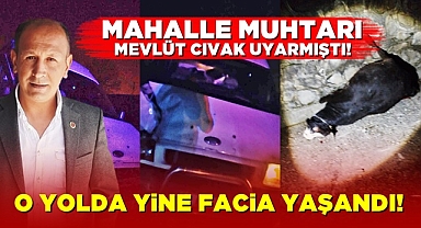 Mahalle muhtarı Mevlüt Cıvak uyarmıştı! O yolda yine facia yaşandı!