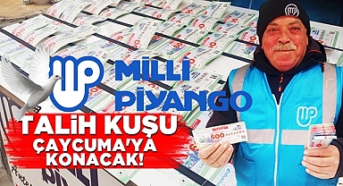 Talih kuşu Çaycuma'ya konacak!