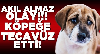Akıl almaz olay! Köpeğe tecavüz etti!