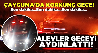 Alevler geceyi aydınlattı! Çaycuma'da korkunç gece!