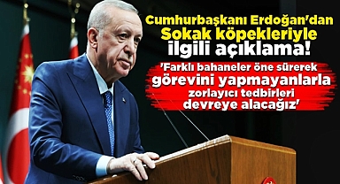 Cumhurbaşkanı Erdoğan'dan sokak köpekleriyle ilgili açıklama!