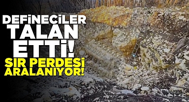Defineciler talan etti! Sır perdesi aralanıyor!