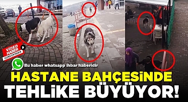 Hastane bahçesinde tehlike büyüyor!