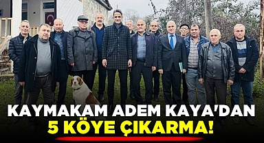Kaymakam Adem Kaya'dan 5 köye çıkarma!