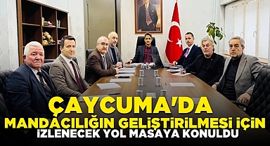 Mandacılık geliştirilecek, proje detayları masaya konuldu!
