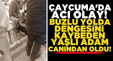 Çaycuma'da acı olay! Buzlu yolda dengesini kaybeden yaşlı adam canından oldu!