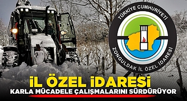 İl Özel İdaresi karla mücadele çalışmalarını sürdürüyor