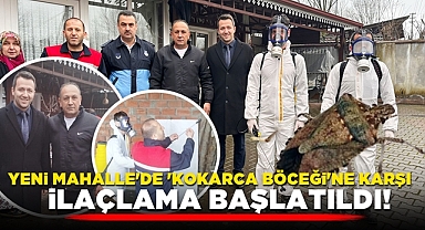 Yeni Mahalle'de 'Kokarca Böceği'ne karşı ilaçlama başlatıldı!