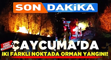 Çaycuma'da iki farklı noktada orman yangını!