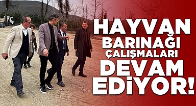Hayvan barınağı çalışmaları devam ediyor!