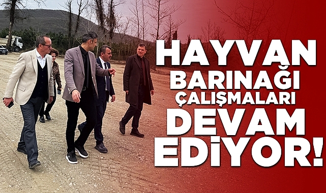 Hayvan barınağı çalışmaları devam ediyor!