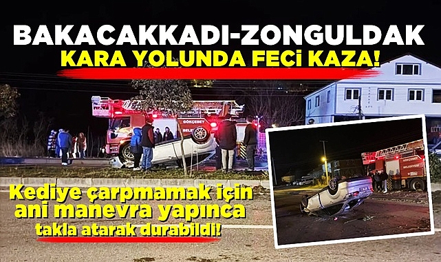 Kediye çarpmamak için ani manevra yapınca takla atarak durabildi!