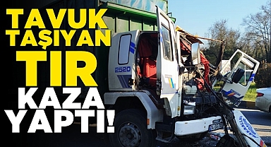 Tavuk taşıyan tır kaza yaptı!