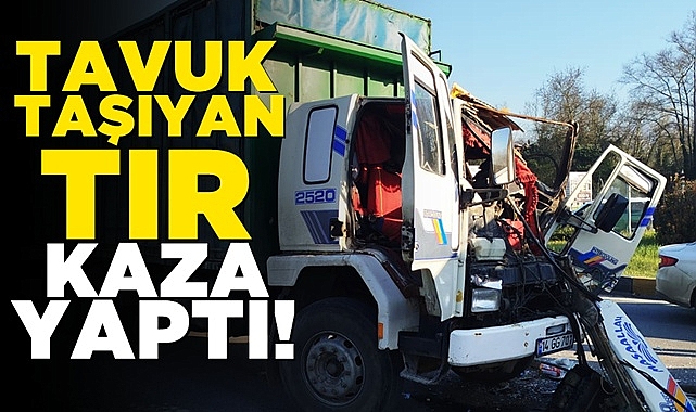 Tavuk taşıyan tır kaza yaptı!