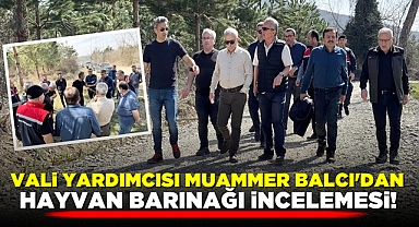 Vali yardımcısı Muammer Balcı'dan hayvan barınağı incelemesi