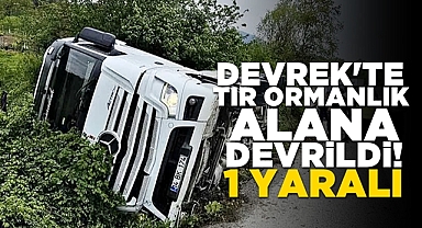 Devrek'te tır ormanlık alana devrildi: 1 yaralı