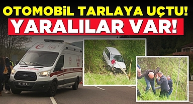 Otomobil tarlaya uçtu: Yaralılar var!