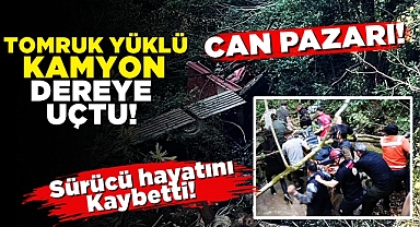 Tomruk yüklü kamyon dereye uçtu: Sürücü hayatını kaybetti!