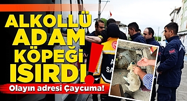 Alkollü adam köpeği ısırdı! Olayın adresi Çaycuma
