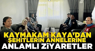Kaymakam Kaya'dan şehitlerin annelerine anlamlı ziyaret