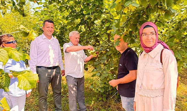 Çaycuma'da Kahverengi Kokarca ile Biyolojik Mücadele Başladı