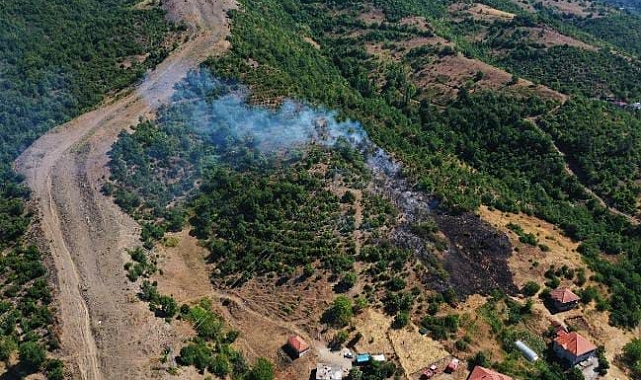 Çayır Köyü'nde Orman Yangını Korkuttu