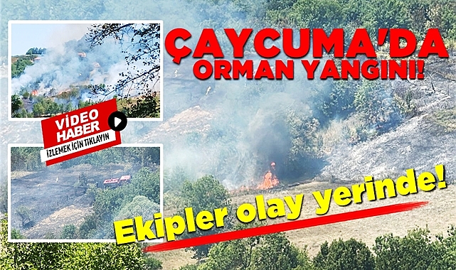 Çaycuma'da orman yangını: Ekipler olay yerinde!