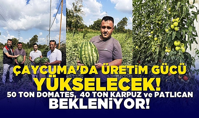 Çaycuma'da üretim gücü yükselecek!