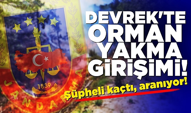 Devrek'te orman yakma girişimi: Şüpheli kaçtı, aranıyor!