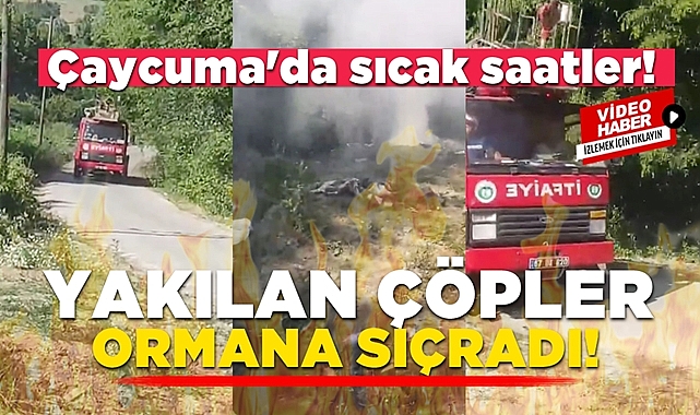 Yakılan çöpler, ormana sıçradı: Çaycuma'da sıcak saatler!