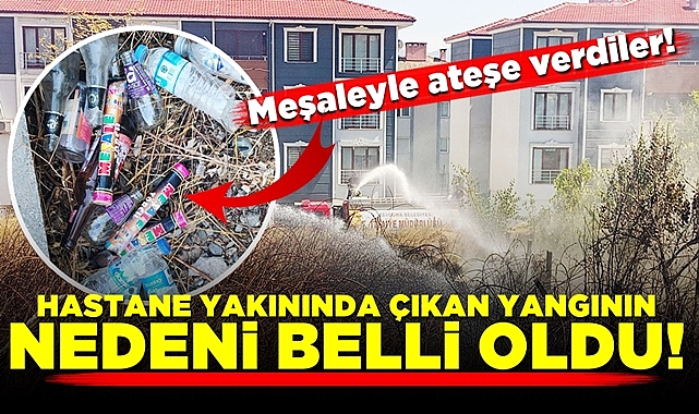 Yangının nedeni belli oldu: Otluk alanı meşaleyle ateşe verdiler!