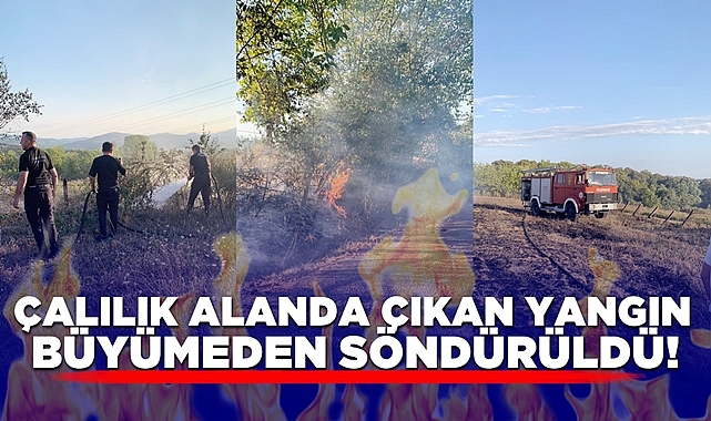 Çalılık alanda çıkan yangın büyümeden söndürüldü!